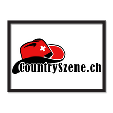 Laden Sie das Bild in den Galerie-Viewer, FORD SKYLINER 1959 grey Testing