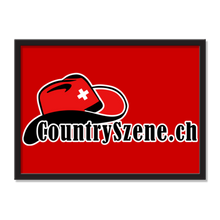 Laden Sie das Bild in den Galerie-Viewer, FORD SKYLINER 1959 grey Testing